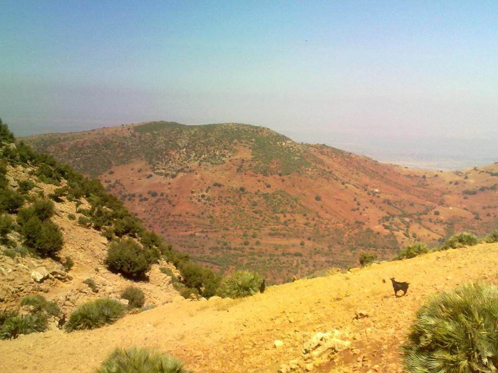 Maison D'Hotes Ait Bou Izryane Timoulilt Buitenkant foto